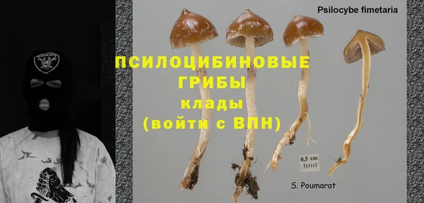твердый Балабаново